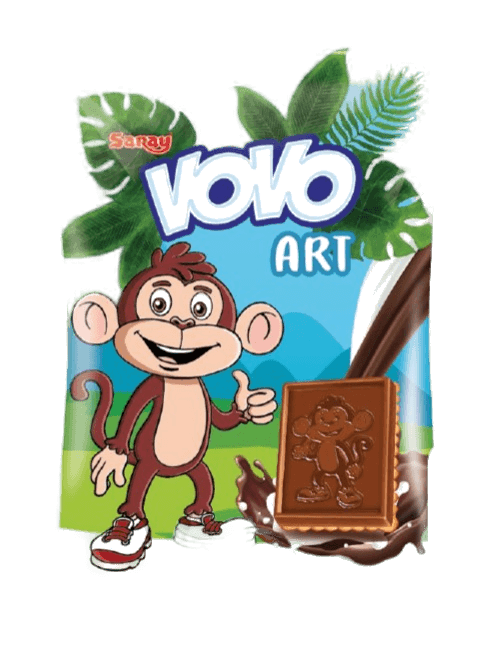 SARAY VOVO BISCUITI PETIT GLAZURATI CU CIOCOLATA 23GR (6X24)